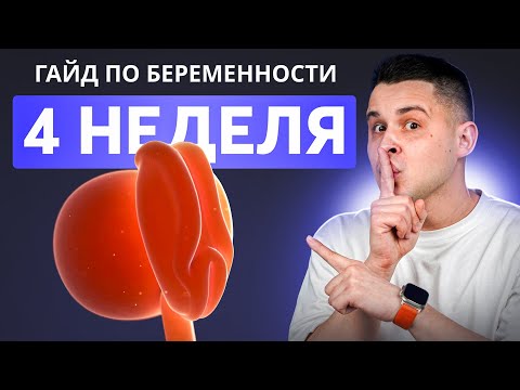 Видео: 4 НЕДЕЛЯ БЕРЕМЕННОСТИ | Беременность по неделям с доктором Ченчак