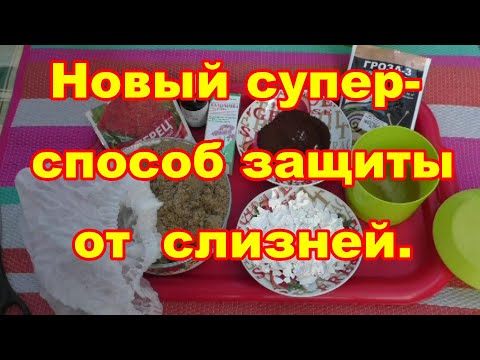 Видео: Защищаю капусту от слизней новым супер способом