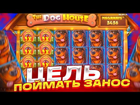 Видео: ТОПОВАЯ СЕССИЯ В  THE DOG HOUSE MULTIHOLD!! МОЩНЫЕ ПЛЮСОВЫЕ БОНУСКИ В DOG HOUSE / ЗАНОСЫ НЕДЕЛИ