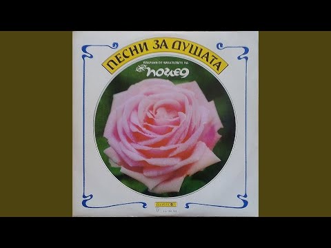 Видео: Ако зажалиш някой ден