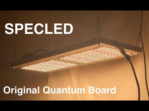 Видео: Фитолампа 220W. Оригинальные QB288 V2 Rspec из США. Квантум борд
