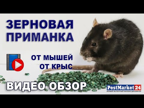 Видео: Зерновая приманка от грызунов. Профессиональное, эффективное средство от мышей, крыс. ВИДЕООБЗОР