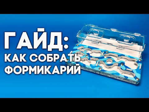 Видео: Как собрать формикарий ДиП "Мини"? Заливка гипса в муравьиную ферму \\ Димон и пумба
