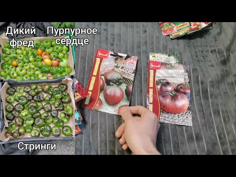 Видео: Семена на 2026 год ожидания и реальность все самое лучшее для огорода! 