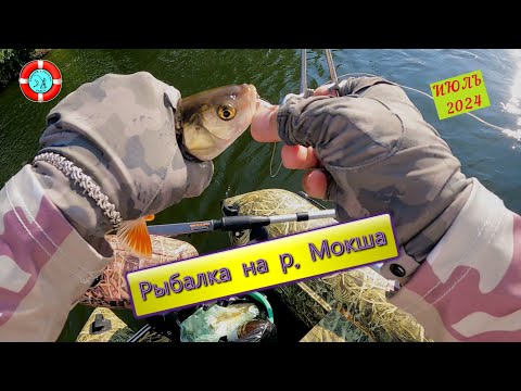 Видео: ЗАБЫЛ СПИННИНГ!!! ЛОВИМ ГОЛАВЛЯ В КОНЦЕ ИЮЛЯ/МОРДОВИЯ 2024
