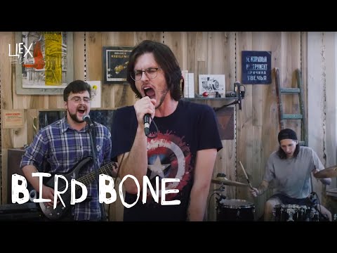 Видео: Bird Bone: Цех live
