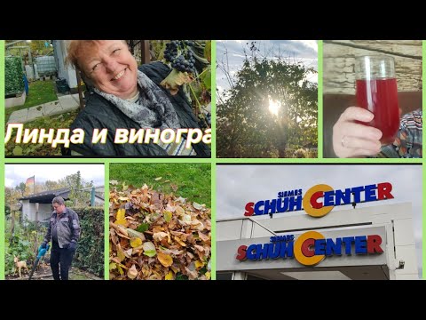 Видео: Не усидели дома🚗, на мойке😉, опять на даче 😄,покупка 👍, вкусный компот🥤, болталка 😄. 