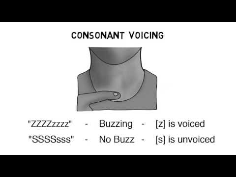 Видео: Корейское произношение, Видео 1: Алфавит хангыль и согласные корейского языка