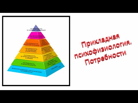 Видео: Прикладная психофизиология. Потребности