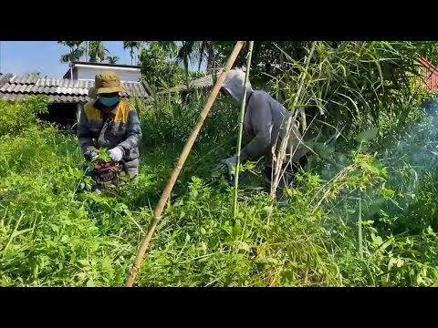 Видео: Экстремальная уборка заброшенного дома, заросшего сорняками | Бесплатная полная трансформация