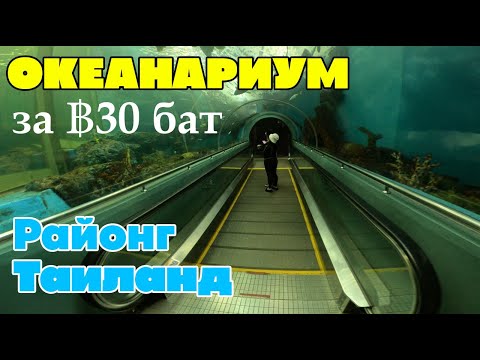 Видео: Океанариум в Таиланде (Районг) - вход почти бесплатный. Подводный мир Rayong aquarium.
