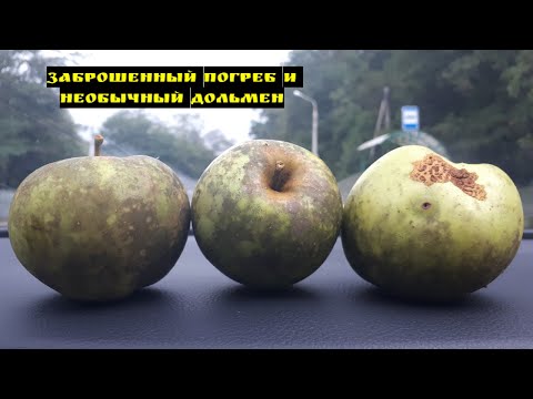 Видео: Экспедиция. Забытые страницы Голодного шоссе (Геленджикский район)