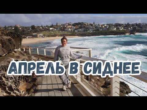 Видео: Апрельские выходные в Сиднее: Голубые горы, пляжи Куджи и Бондай, Сентениал парк...