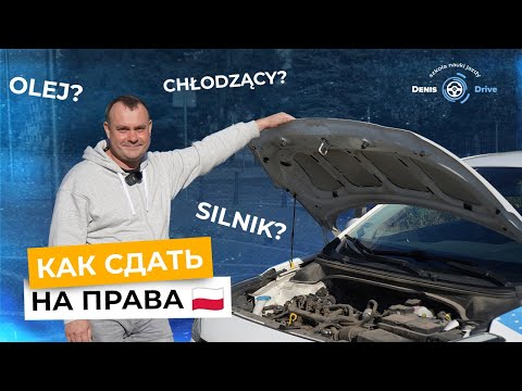 Видео: Как сдать на права в Польше | WORD | Первое занятие в автошколе