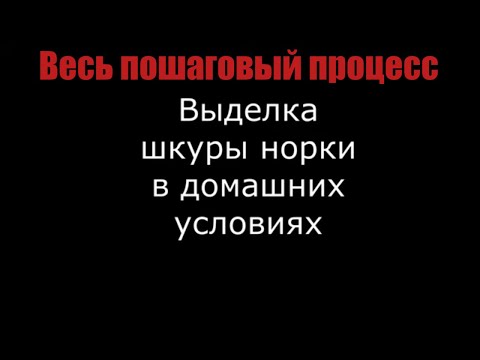 Видео: Выделка шкуры норки. Весь пошаговый процесс.