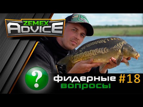 Видео: ВСЁ О ФИДЕРЕ / ОТВЕТЫ НА ВОПРОСЫ / ZEMEX Advice