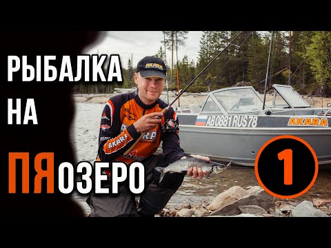 Видео: Пяозеро, рыбалка, что стоит знать.