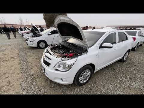 Видео: ХОРАЗМ МОШИНА БОЗОРИ 16.11/ XORAZM MOSHINA BOZORI 16.11.2025