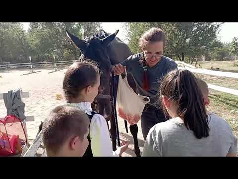 Видео: Від маленькіх перемог до великих змін