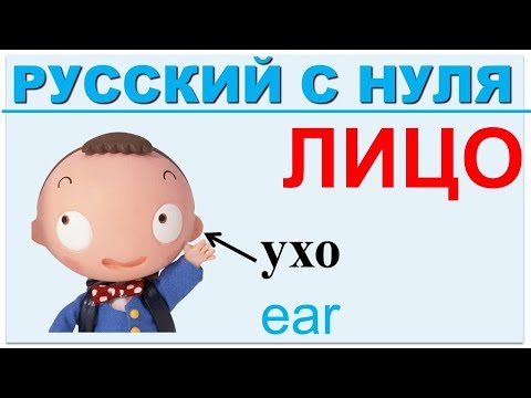 Видео: Части тела на русском для иностранцев. ЛИЦО.