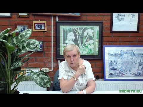 Видео: Отвечаем на вопросы наших зрителей №57