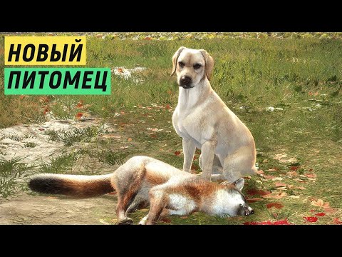 Видео: Охота с новым ПИТОМЦЕМ # 146