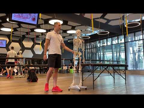 Видео: Вадим Гурьев: Вариант двигательного тестирования для фитнес-тренера