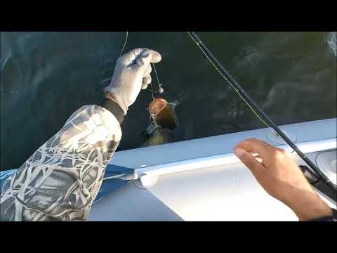 Видео: СОМ на КВОК в Октябре.  Волга.