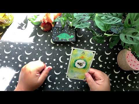 Видео: Близнецы ♊️ ✨ Важное сообщение от ваших наставников! ✨👑