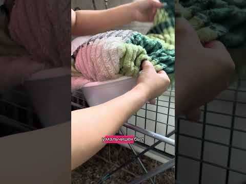 Видео: Истории из жизни. Муж сжирает всё , что не приколочено. Хочу развестись с мужем 😡