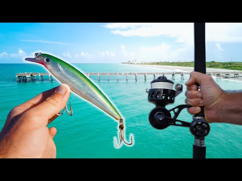 Видео: Ловля пелагической рыбы-производителя на пирсе Флориды