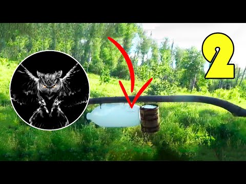 Видео: Охота на куницу с капканом