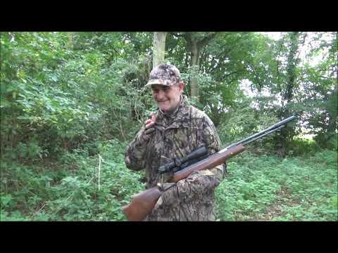 Видео: HW97 Rabbit Stalk и бонусная винтовка...