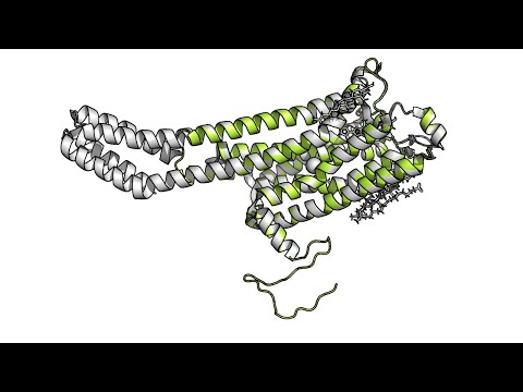 Видео: Моделирование трехмерной структуры белка в программе Modeller