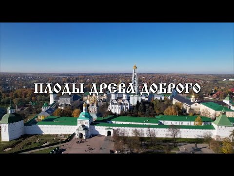 Видео: Плоды древа доброго. Старец Наум.
