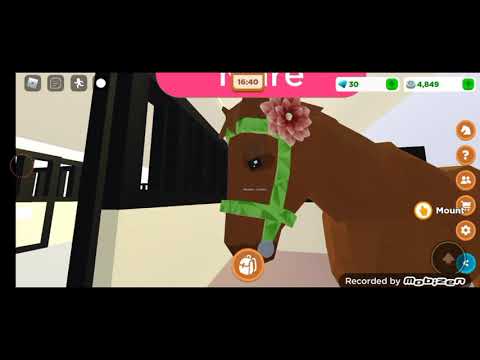 Видео: День на конюшне в Horse valley/ Тренировка