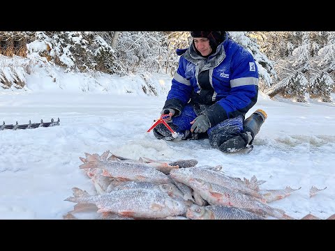 Видео: ВОТ КАКОЙ БЫВАЕТ КЛЕВ, КОГДА ТЫ НА РЕКЕ ОДИН. ПЕРВЫЙ ЛЁД 2020 - 2021 НА РЕКЕ. ЗИМНЯЯ РЫБАЛКА 2020.