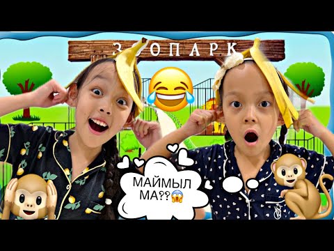 Видео: МАЙМЫЛМЫЗ ДЕЙДІ ҒОЙ😅🙉🤦🏻‍♀️🎥