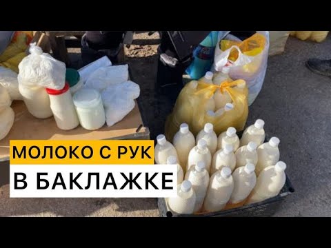 Видео: Молоко с рук или с магазина? Kazakh food
