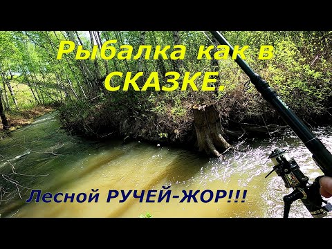 Видео: РЫБАЛКА/Лесной РУЧЕЙ-Сказочная Рыбалочка! /Проверил и ХАРИУСА.