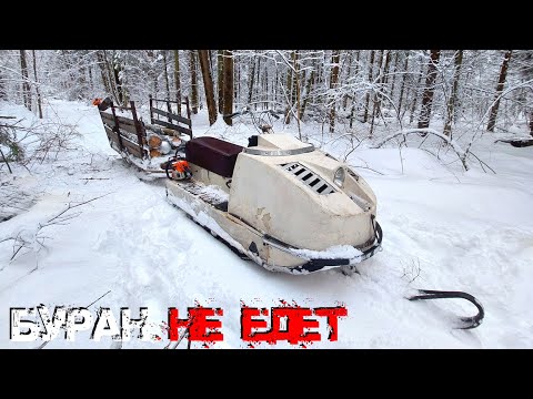 Видео: СНЕГОХОД НЕ ЕДЕТ, ПОЛОМКА В ЛЕСУ