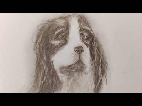 Видео: Рисую собаку простым карандашом.Легко.