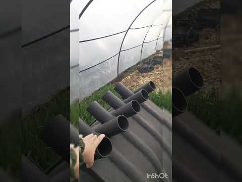 Видео: Лук на перо#булерьян#теплица#крым#море