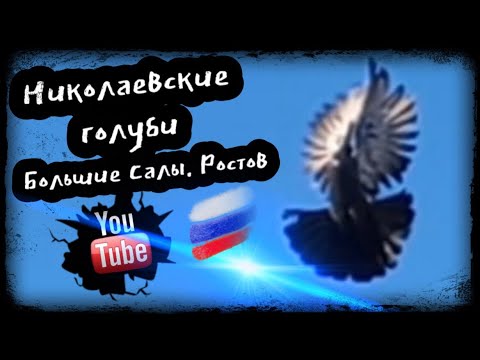 Видео: Николаевские голуби. Большие Салы. Ростов 🇷🇺 Павел тел. +7 (928) 195-37-52