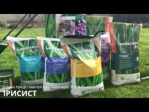 Видео: Пролетно торене на тревата.Как, с какво и от къде?