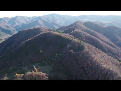 Видео: Малениво