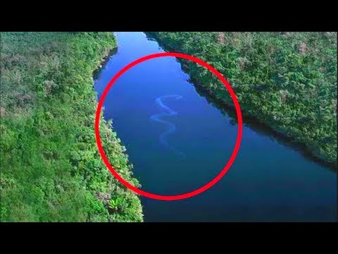 Видео: Когда отпадет любое желание идти купаться