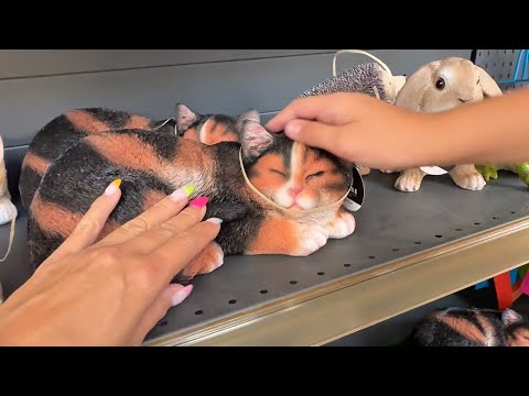 Видео: Короткий влог почти выходного дня