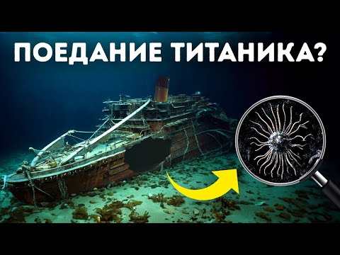 Видео: Самые мрачные факты о "Титанике", о которых никто не говорит...