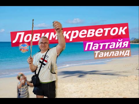 Видео: РЫБАЛКА В ПАТТАЙЕ. Таиланд.